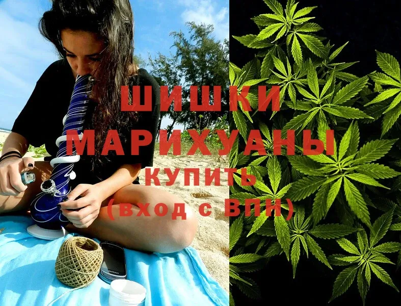 Шишки марихуана White Widow  Гатчина 